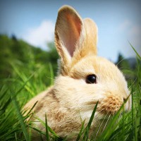 /album/girls-alles-in-een-/photolia-a03-jpg/